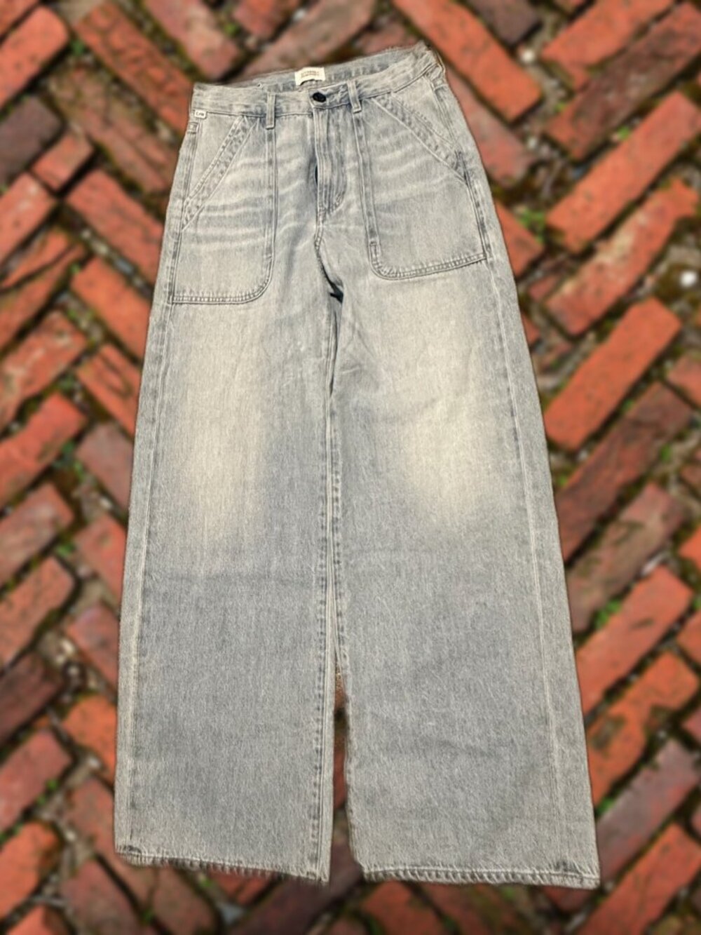 Citizens of Humanity Light Wash Wide Leg Jeans 24